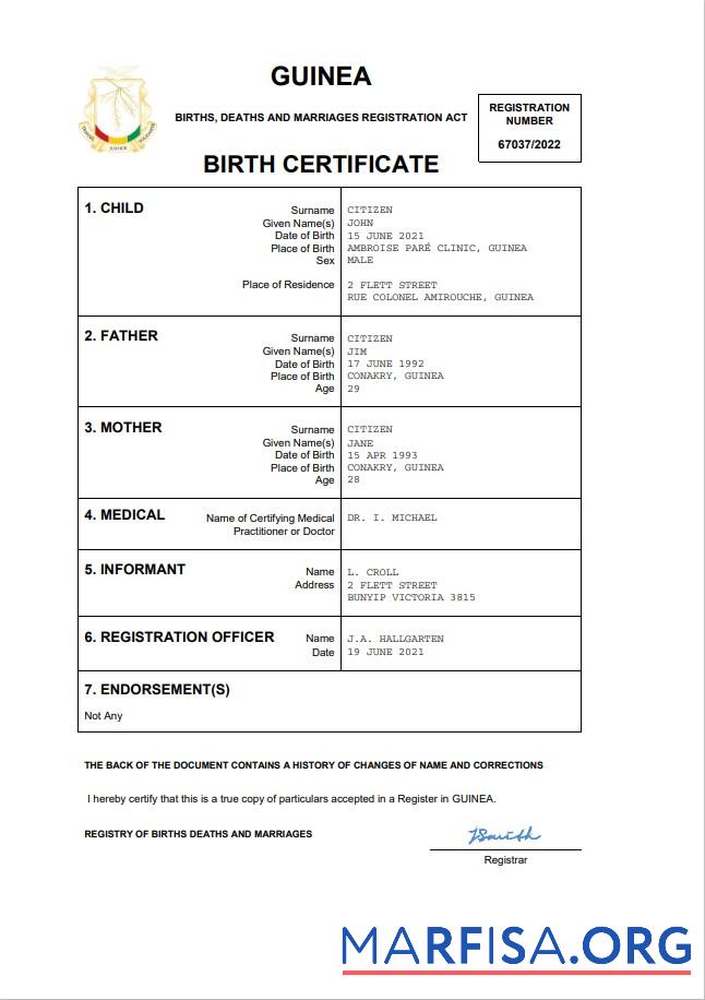 Blank Guinea vital record birth certificate Word and PDF template